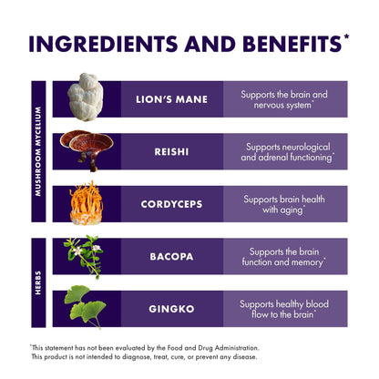 Host Defense MycoBotanicals Brain* Capsules - Brain Support Supplement with Lion's Mane, Reishi & Cordyceps Mushroom - Herbal Supplement for Memory & Focus Support - 60 Capsules (30 Servings)* - zenfulharmony.com