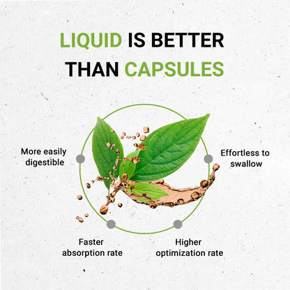Secrets of the Tribe Dandelion Leaf USDA Organic | Alcohol-Free Extract, High-Potency Herbal Drops | Made from 100% Certified Organic Dandelion Leaf (Taraxacum Officinale) Dried Leaf 4 fl oz - zenfulharmony.com