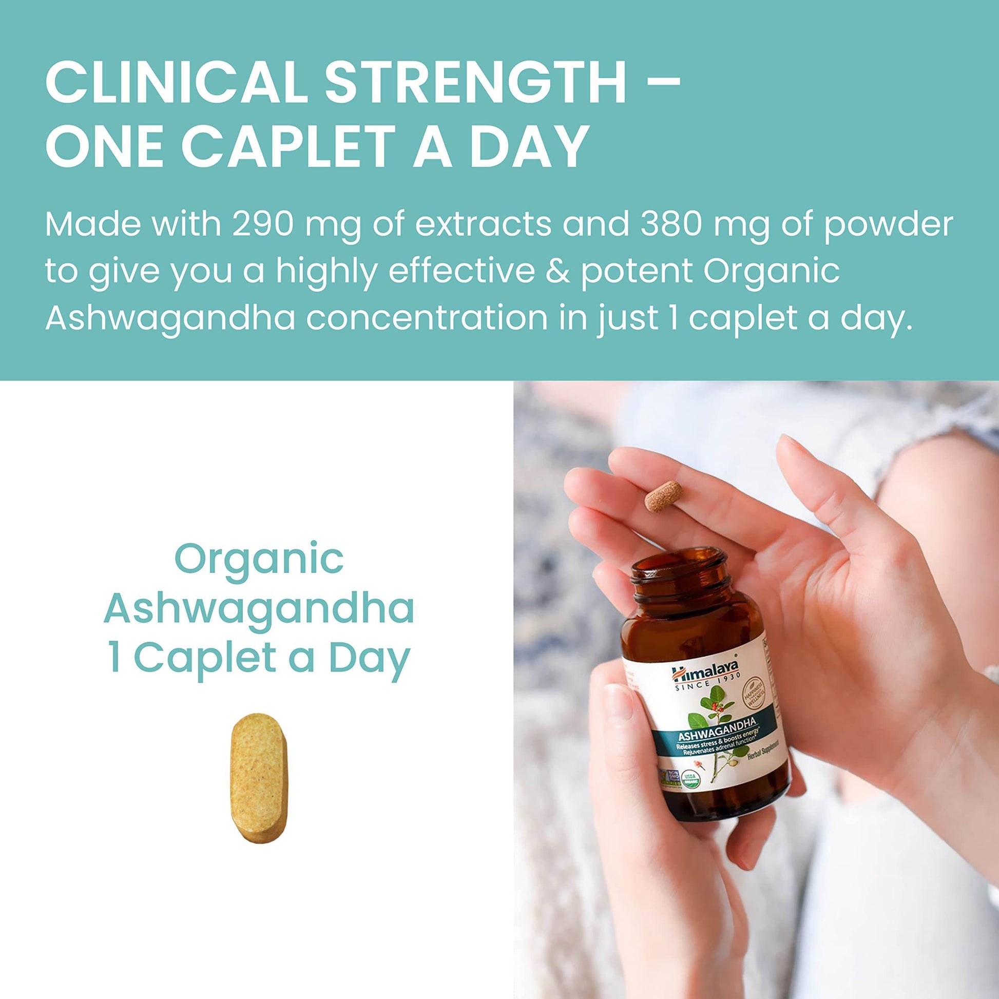 Himalaya Organic Ashwagandha, 60 Day Supply, Herbal Supplement for Stress Relief, Energy Support, Occasional Sleeplessness, Organic, Non-GMO, Vegan, Gluten Free, 670 mg, 60 Caplets - zenfulharmony.com