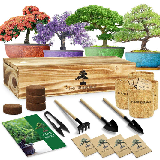 LUOJIBIE Bonsai Tree Kit, Complete Indoor Bonsai Starter Kit for Growing Bonsai Plants with Tools & Pots, Grow Bonsai Tree in Live Indoor, Plant Bonsai Kits, DIY Gardening Gifts for Men and Women - zenfulharmony.com