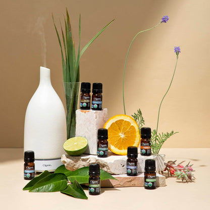 Cliganic Organic Essential Oils Set (Top 5) - 100% Pure Natural - Aromatherapy, Candle Making - Peppermint, Lavender, Eucalyptus, Lemongrass & Orange (Packaging May Vary) - zenfulharmony.com