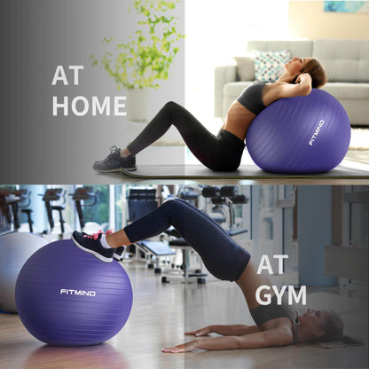 FITMIND Extra Thick Exercise Ball 75cm Yoga Ball for Workout Pregnancy Stability,Anti-Burst and Slip Resistant Swiss Ball with Pump for Yoga, Pilates, Fitness,Birthing,Physical Therapy (Purple 5265C) - zenfulharmony.com