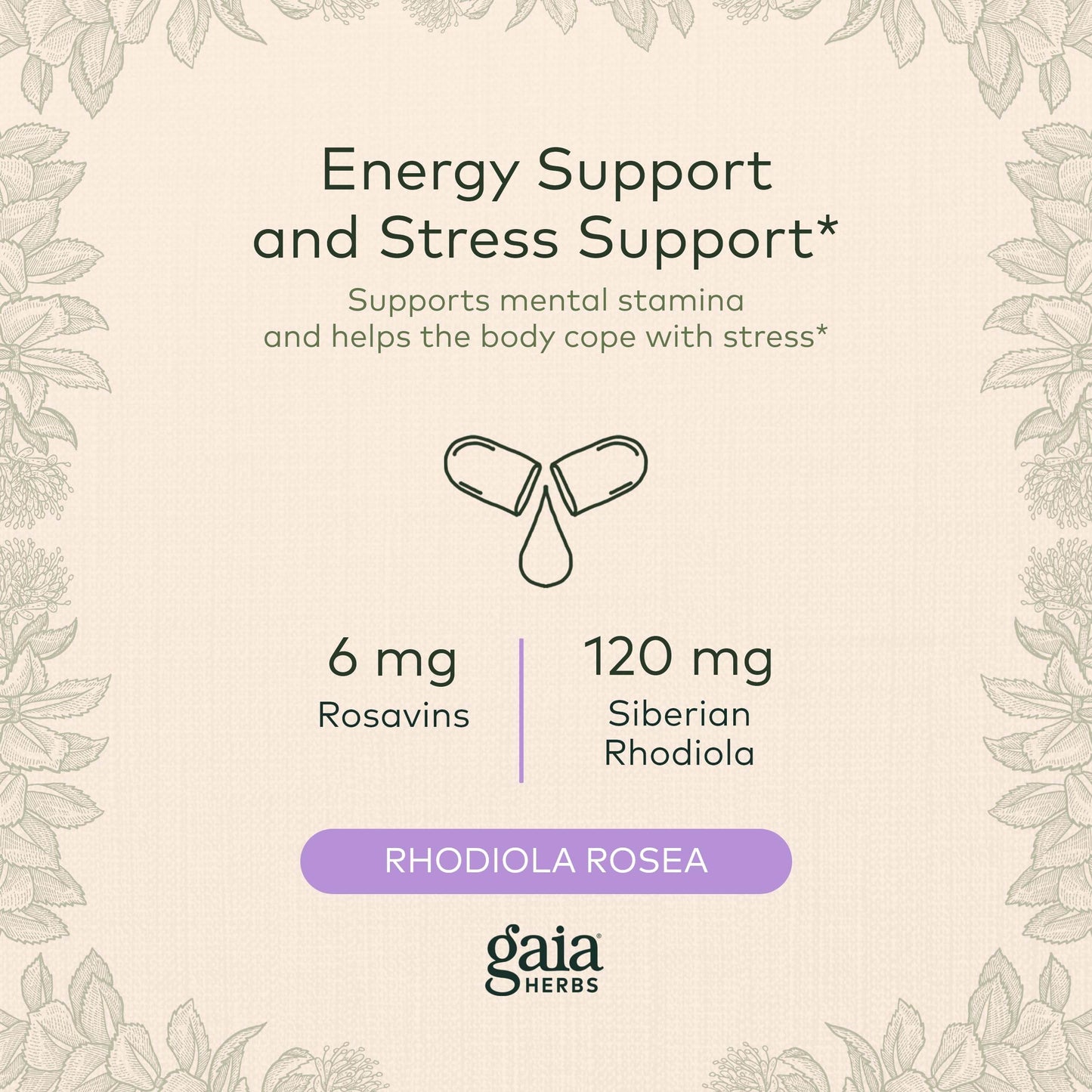 Gaia Herbs Rhodiola Rosea - Stress Support Supplement Traditionally for Supporting Healthy Stamina and Endurance - with Siberian Rhodiola Root Extract - 60 Vegan Liquid Phyto-Capsules (30-Day Supply) - zenfulharmony.com