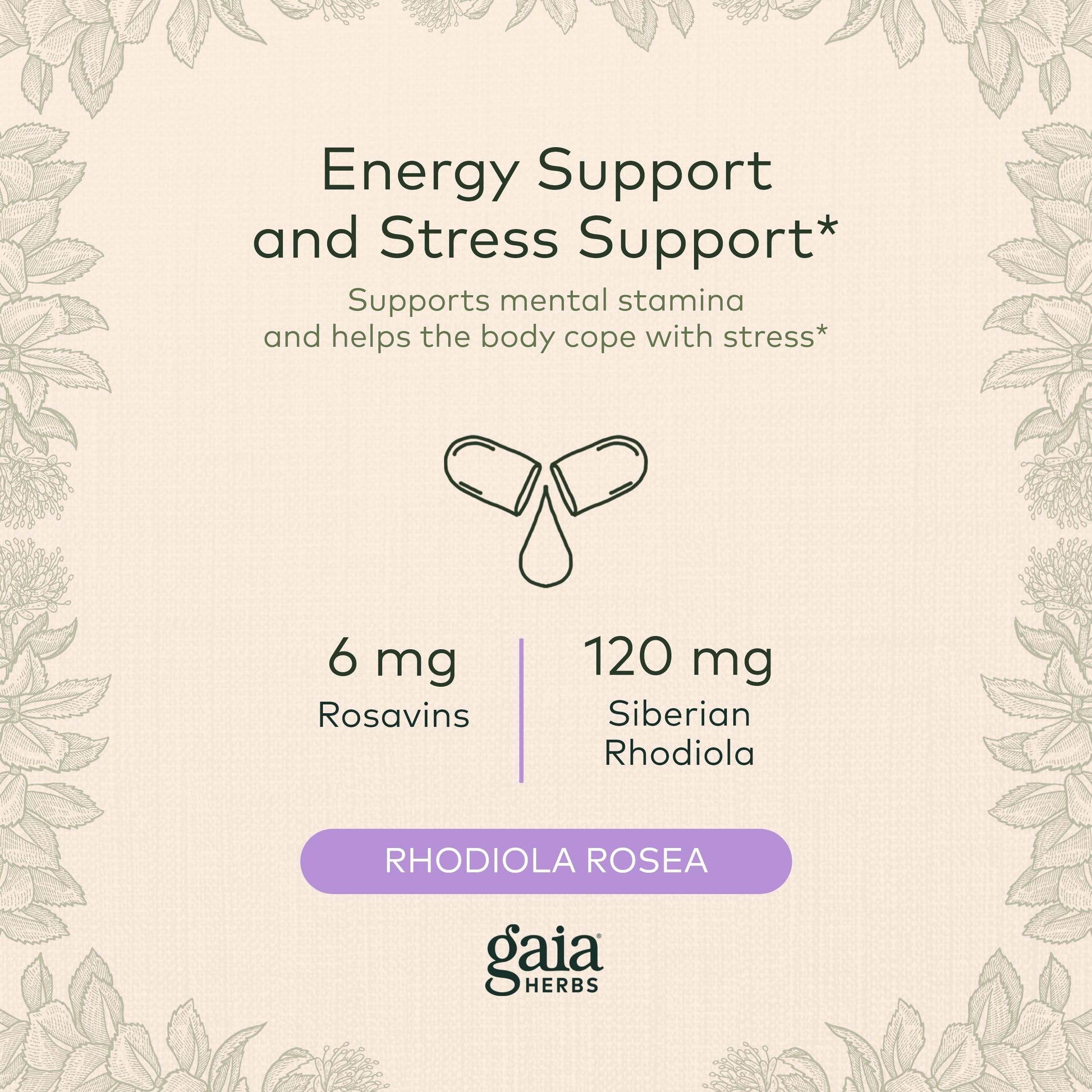 Gaia Herbs Rhodiola Rosea - Stress Support Supplement Traditionally for Supporting Healthy Stamina and Endurance - with Siberian Rhodiola Root Extract - 60 Vegan Liquid Phyto-Capsules (30-Day Supply) - zenfulharmony.com