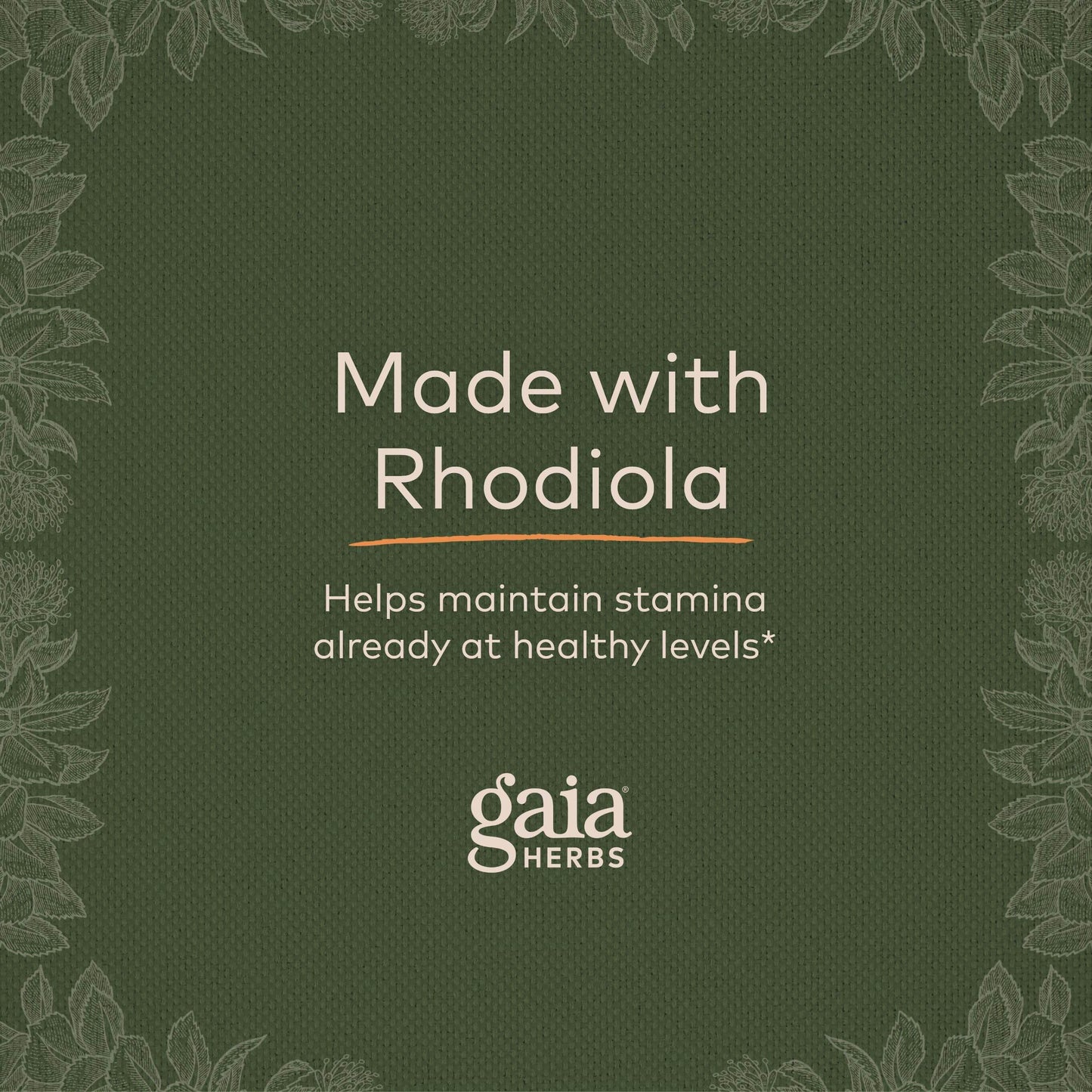 Gaia Herbs Rhodiola Rosea - Stress Support Supplement Traditionally for Supporting Healthy Stamina and Endurance - with Siberian Rhodiola Root Extract - 60 Vegan Liquid Phyto-Capsules (30-Day Supply) - zenfulharmony.com