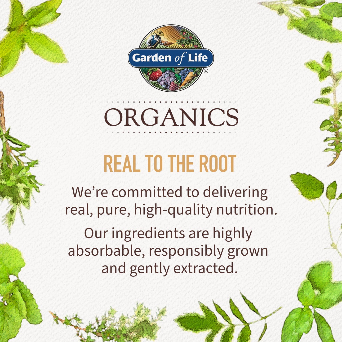 Garden of Life Organics Extra Strength Turmeric Inflammatory Response 120 Tablets-100Mg Curcumin (95% Curcuminoids) Black Pepper, Probiotics, Organic Non-GMO Vegan Gluten Free Herbal Supplement - zenfulharmony.com
