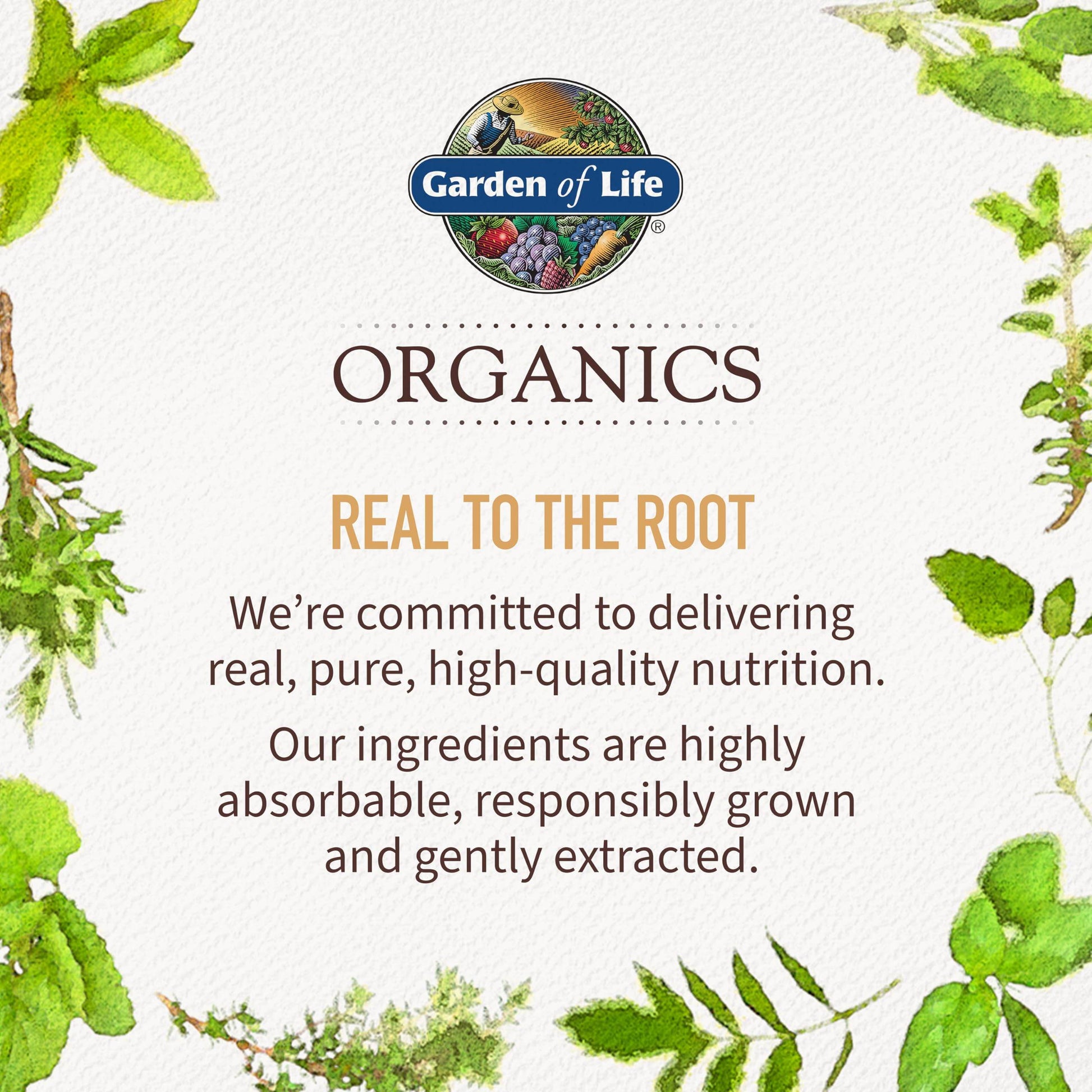 Garden of Life Organics Extra Strength Turmeric Inflammatory Response 120 Tablets-100Mg Curcumin (95% Curcuminoids) Black Pepper, Probiotics, Organic Non-GMO Vegan Gluten Free Herbal Supplement - zenfulharmony.com