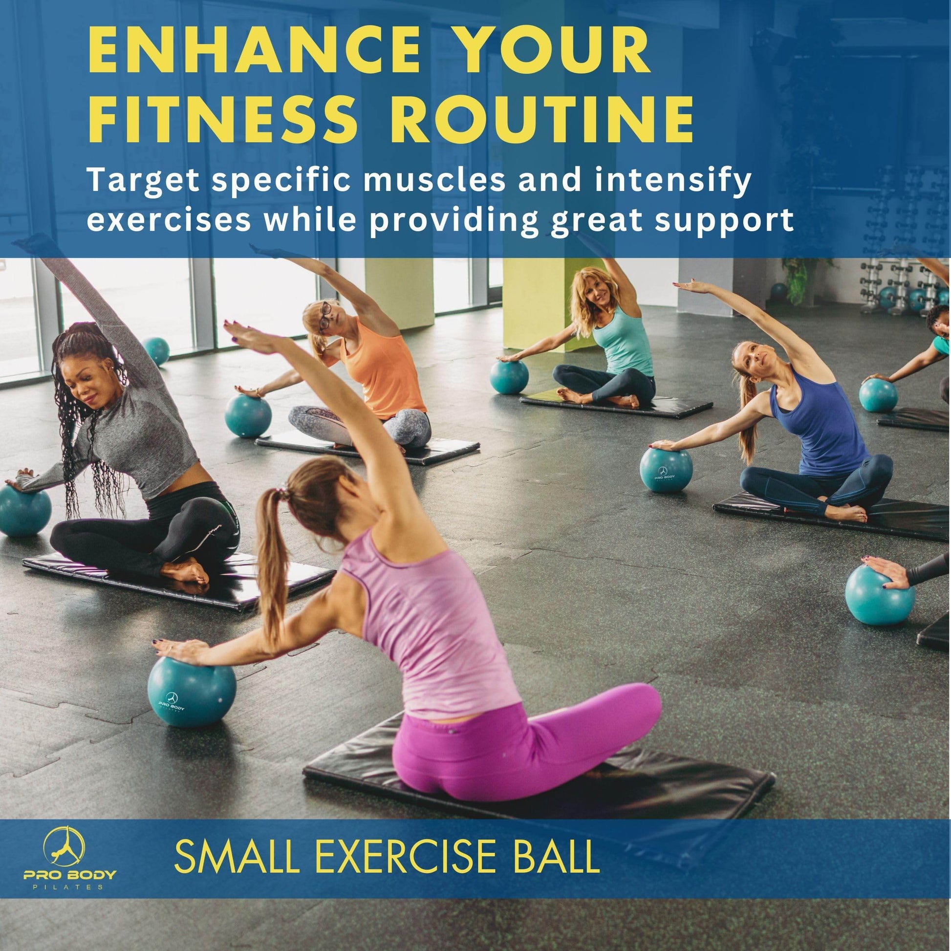 ProBody Pilates Ball Small Exercise Ball, 9 Inch Barre Ball, Mini Soft Yoga Ball, Workout Ball for Stability, Barre, Ab, Core, Physio and Physical Therapy Ball at Home Gym & Office (Blue) - zenfulharmony.com