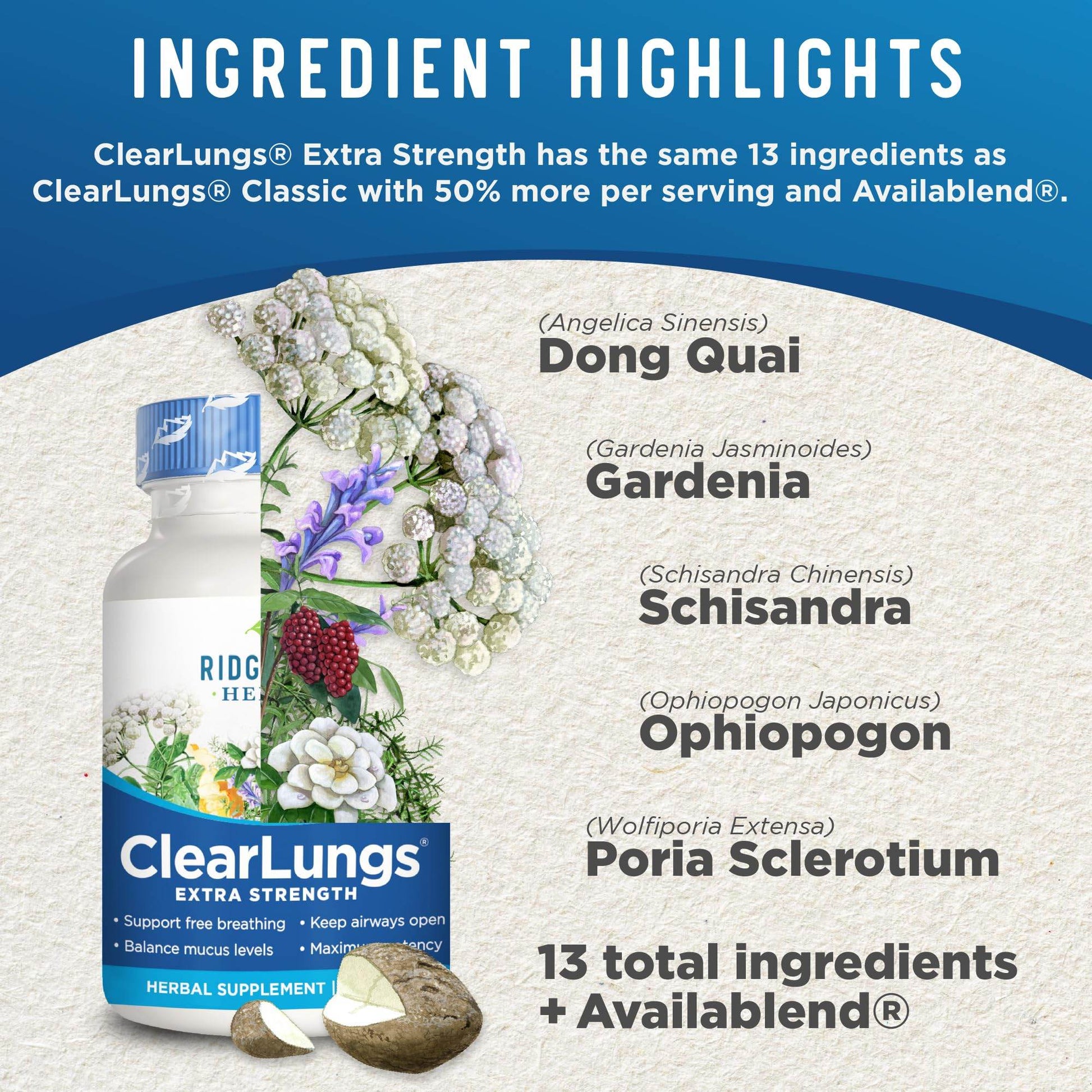 RidgeCrest Herbals ClearLungs Extra Strength, Natural Lung, Nasal Health Formula, Bronchial, Respiratory, Sinus, Mucus Support (60 Caps, 30 Serv) - zenfulharmony.com