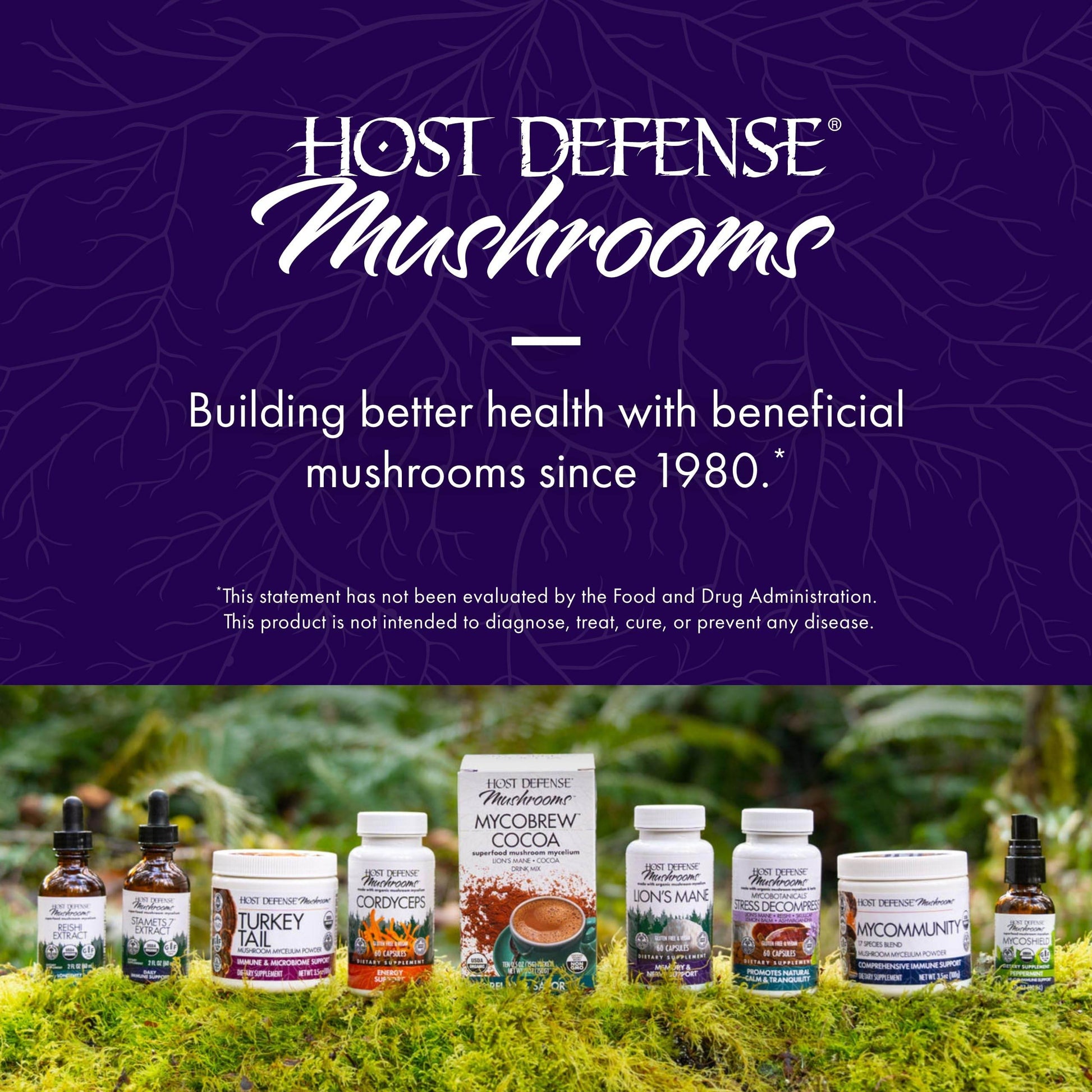 Host Defense MycoBotanicals Brain* Capsules - Brain Support Supplement with Lion's Mane, Reishi & Cordyceps Mushroom - Herbal Supplement for Memory & Focus Support - 60 Capsules (30 Servings)* - zenfulharmony.com