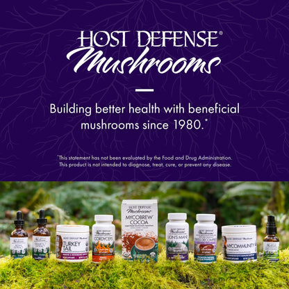 Host Defense MycoBotanicals Brain* Capsules - Brain Support Supplement with Lion's Mane, Reishi & Cordyceps Mushroom - Herbal Supplement for Memory & Focus Support - 60 Capsules (30 Servings)* - zenfulharmony.com